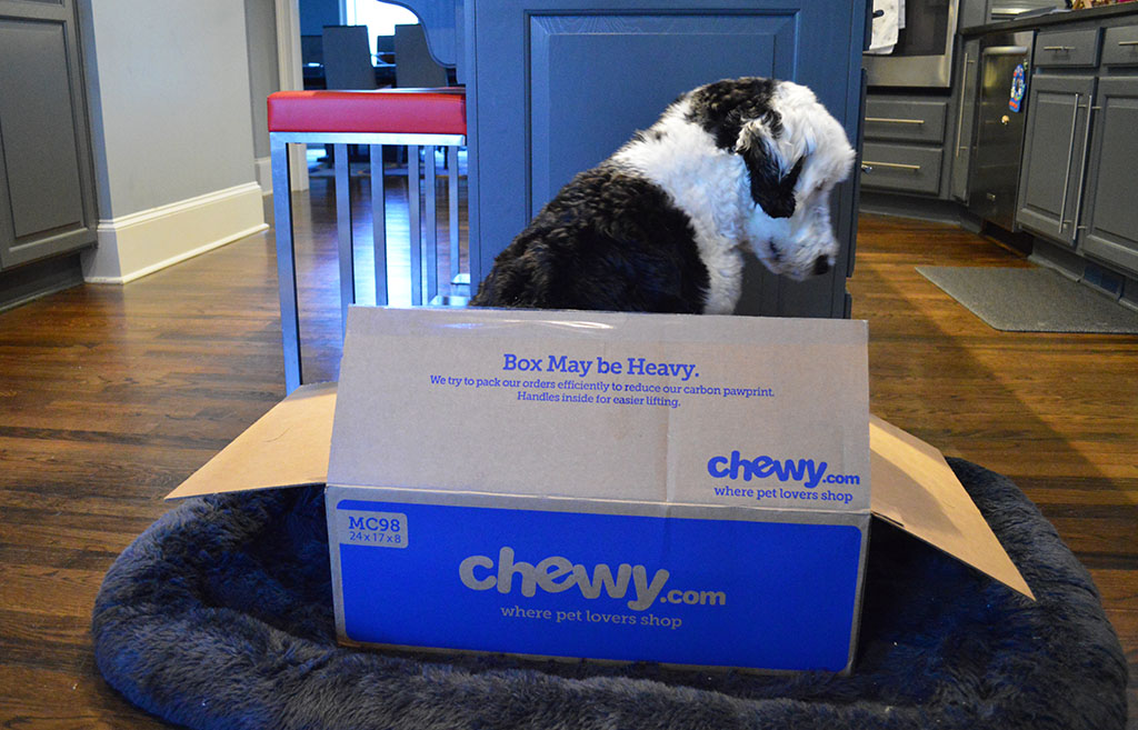 Chewy Delivery Box
